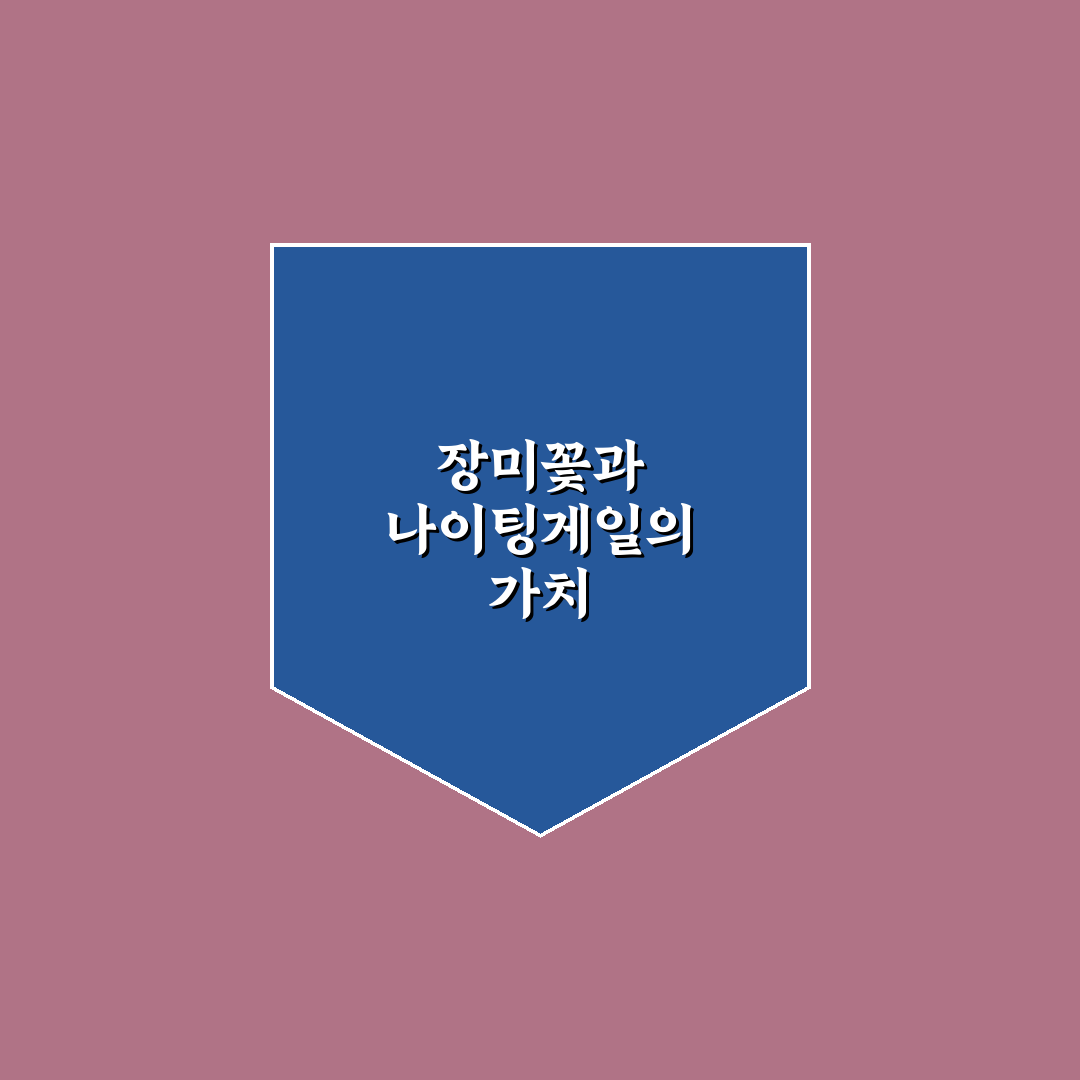 장미꽃과 나이팅게일 외과의원 서비스 비교 및 선택 가이드