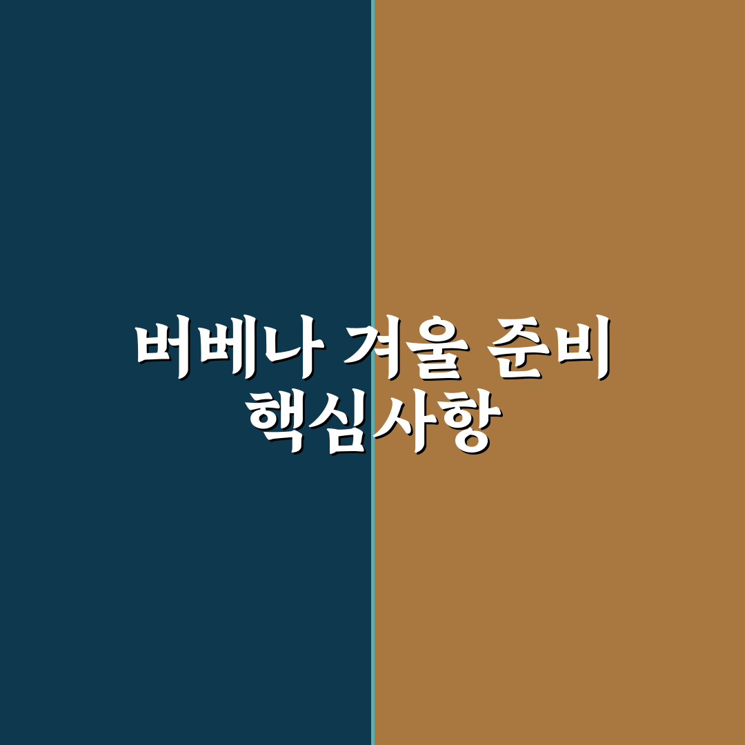 버베나 월동 방법 5가지 기준과 성공 체크포인트 총정리