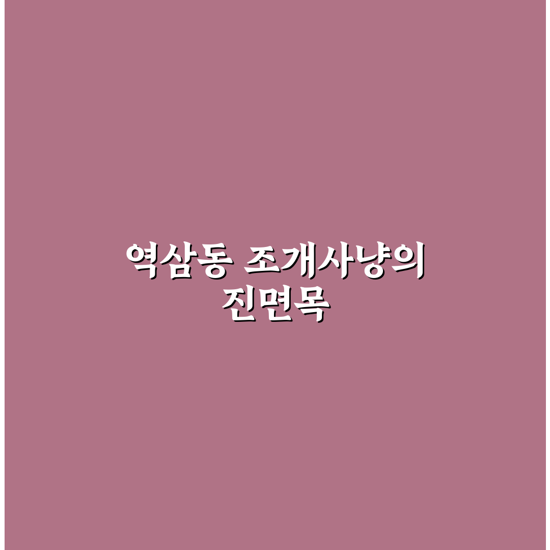 역삼동 조개사냥 맛과 가격 비교 가이드 5가지 기준