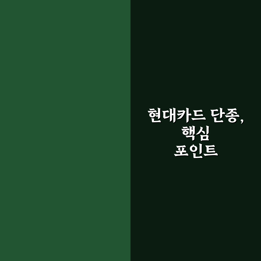네이버 현대카드 단종 영향과 대체상품 5가지 비교 분석
