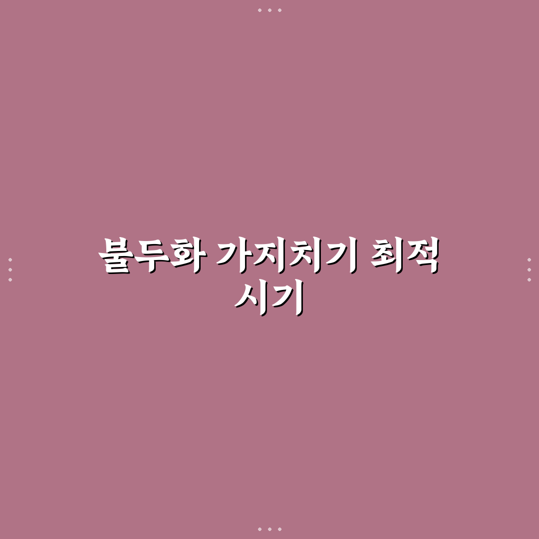 불두화 가지치기 시기별 기준과 관리법 총정리