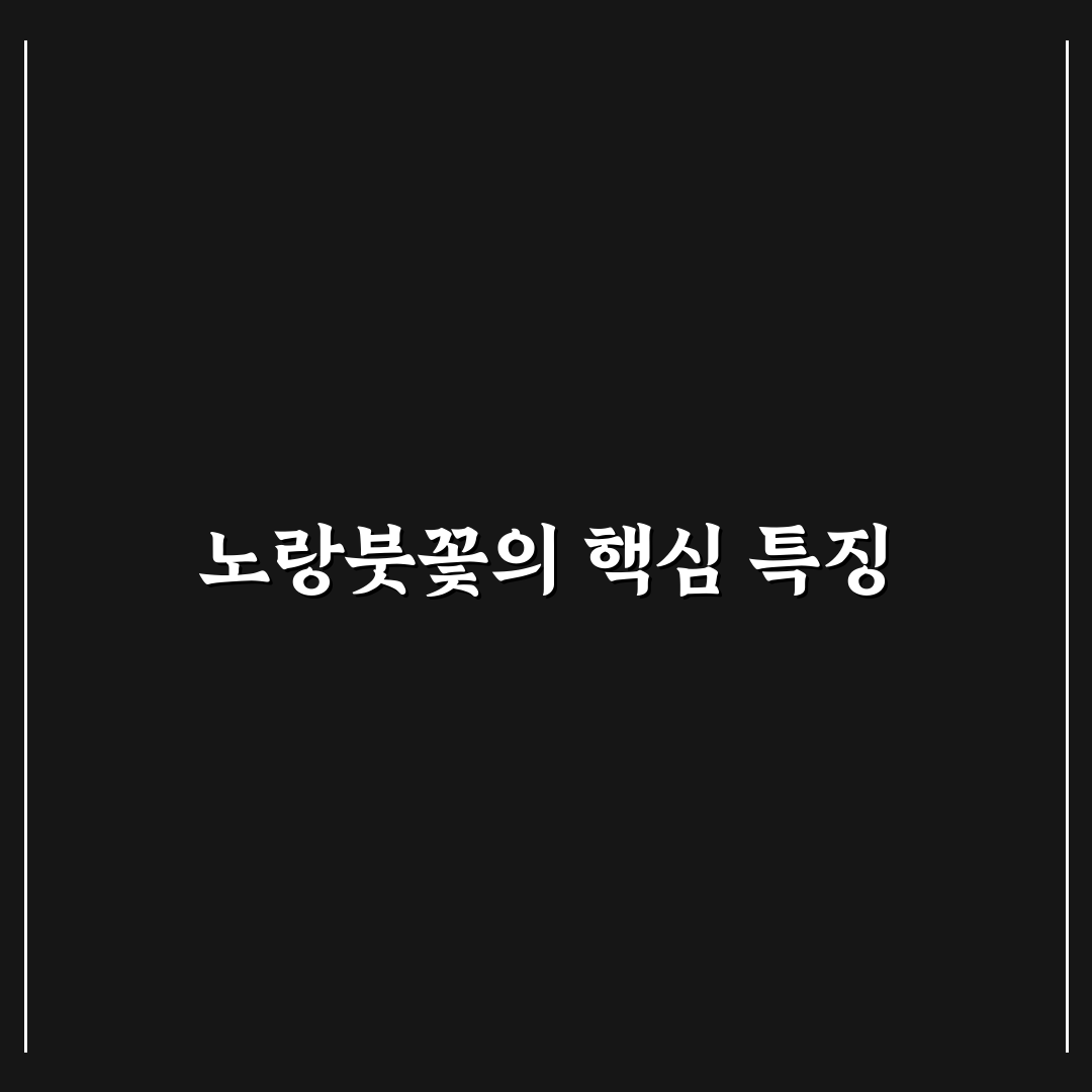 노랑붓꽃 성장 환경과 관리 기준 총정리