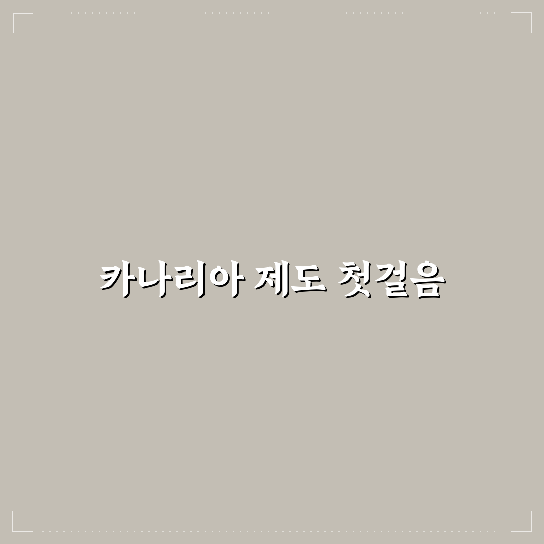 카나리아 제도 신혼여행 비교와 5가지 체크포인트 분석