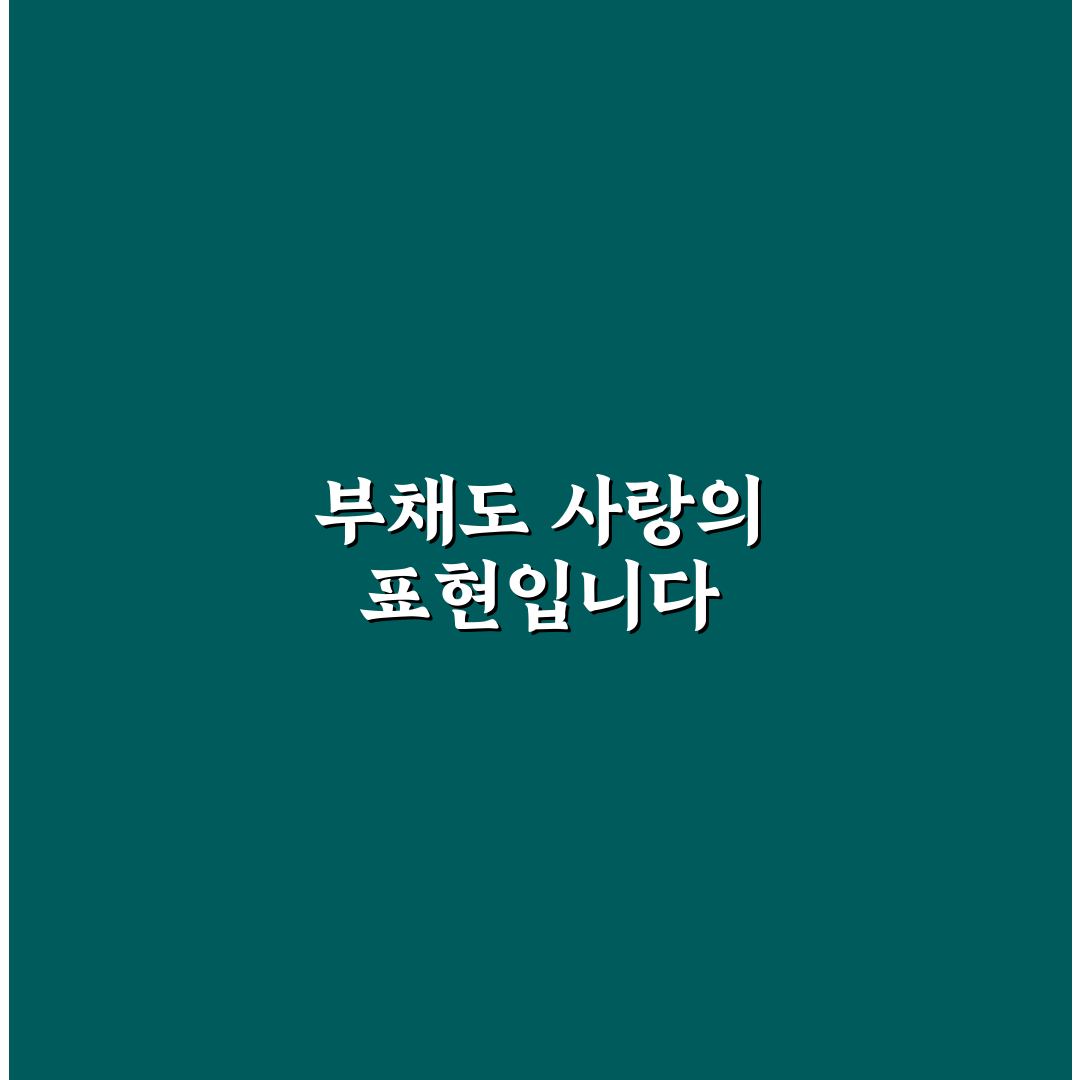 어버이날 용돈 부채 비교와 해결 가이드 5가지 체크포인트