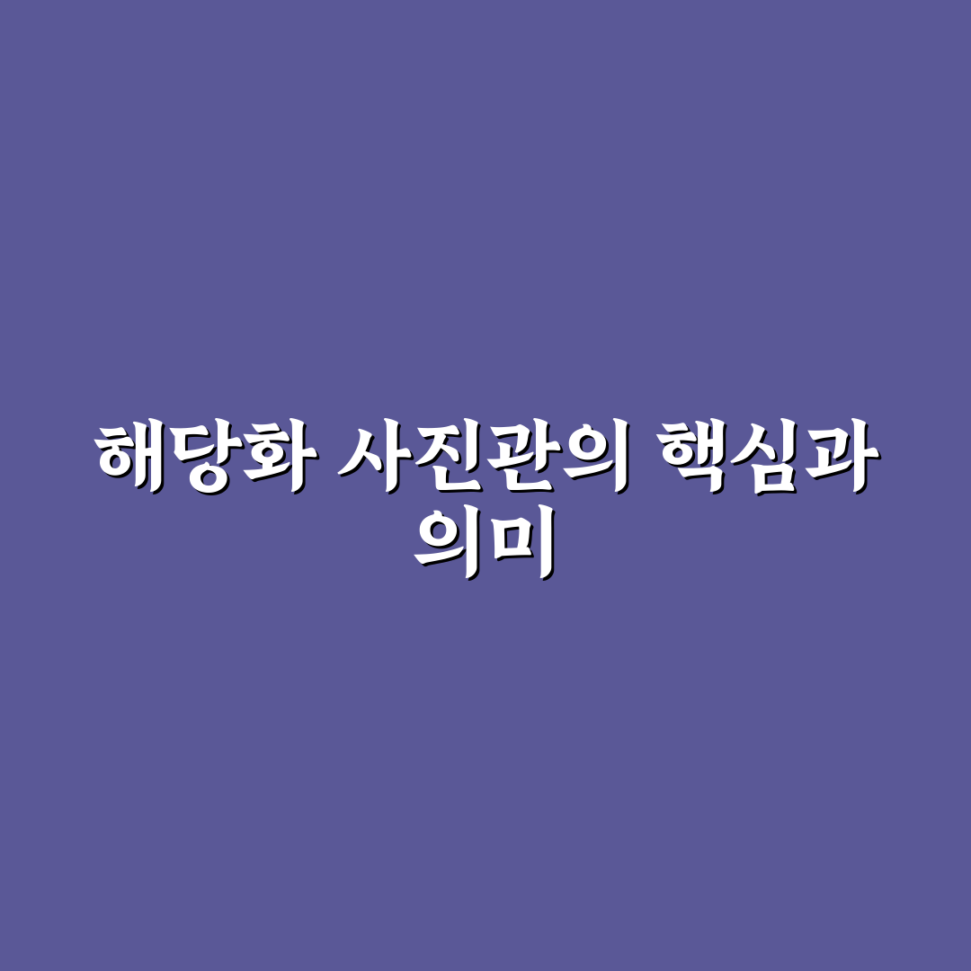 해당화 사진관 선택 기준과 촬영 스타일 비교 분석