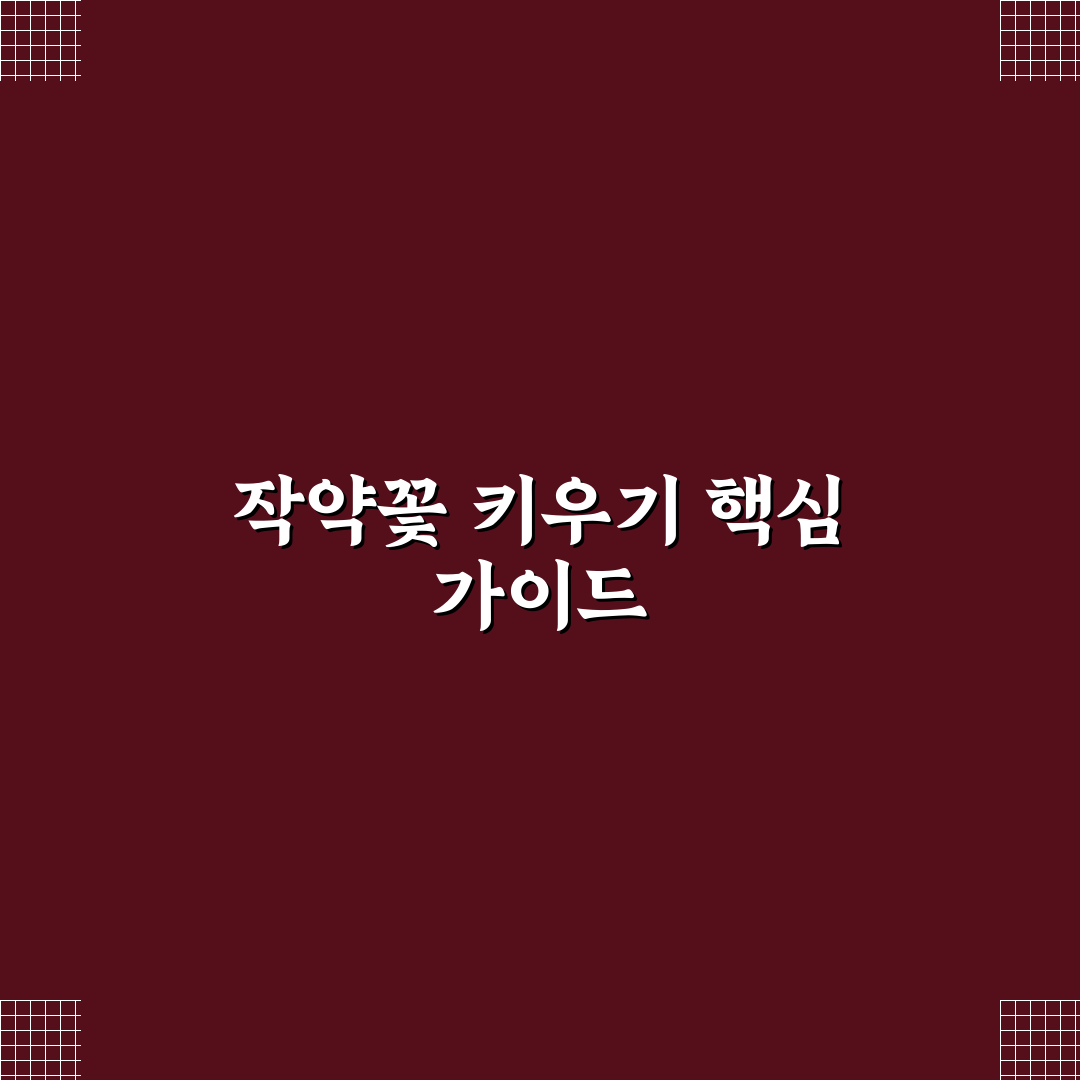 작약꽃 키우기 5가지 기준과 성장 환경 분석