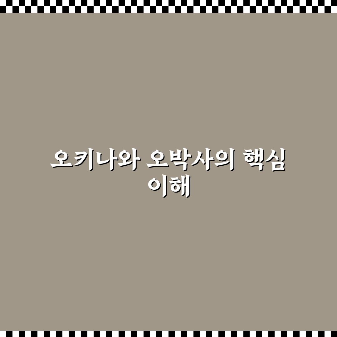 오키나와 오박사 서비스 비교와 선택 기준 총정리