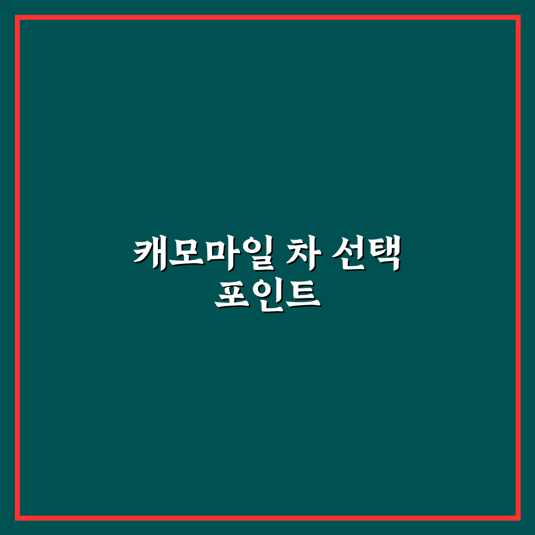 캐모마일 국화차 품질 비교와 선택 기준 5가지