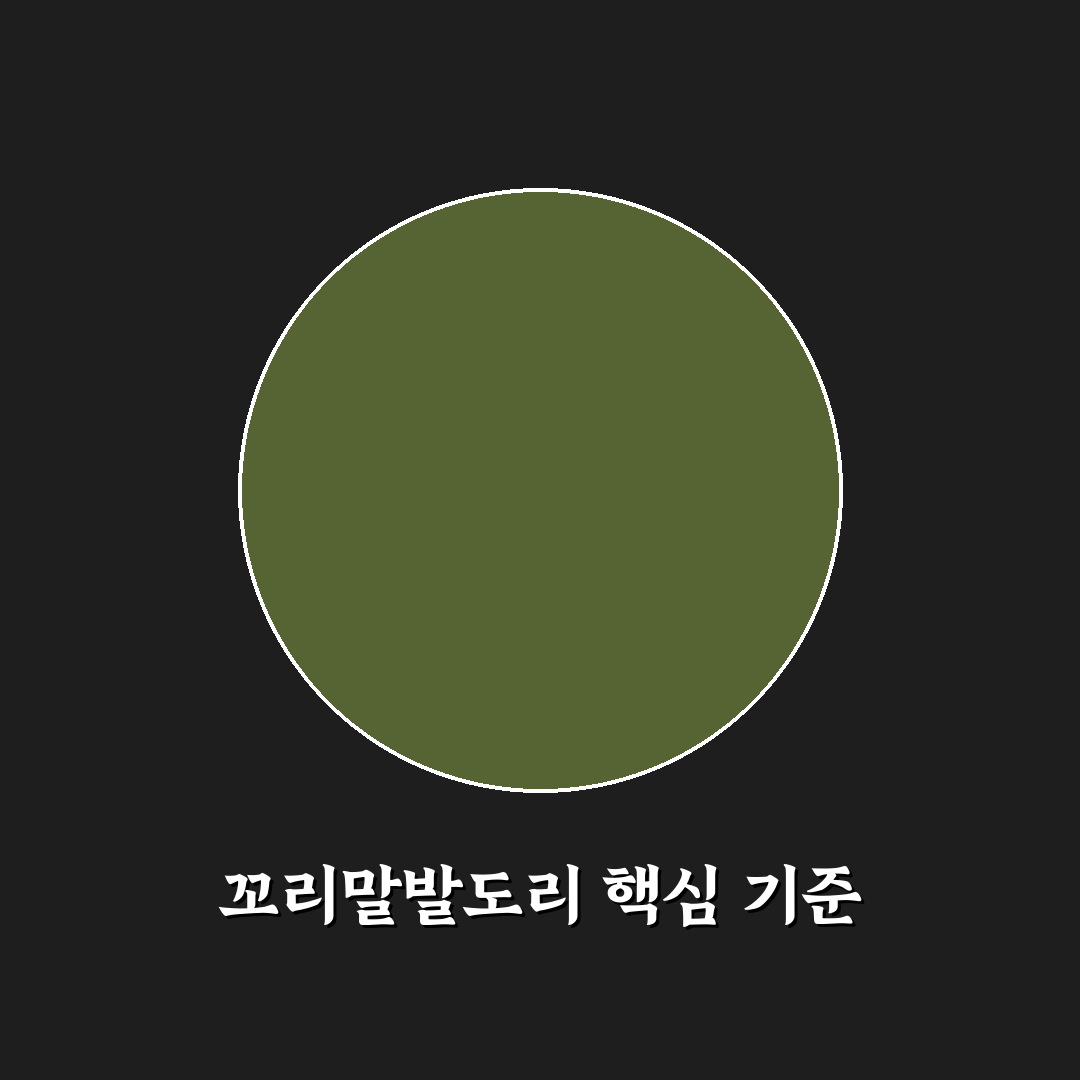 꼬리말발도리 비교 분석과 선택 가이드 5가지 기준
