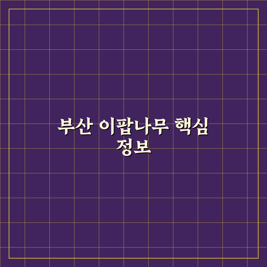 부산 이팝나무 명소 5가지 선택 기준과 방문 체크포인트
