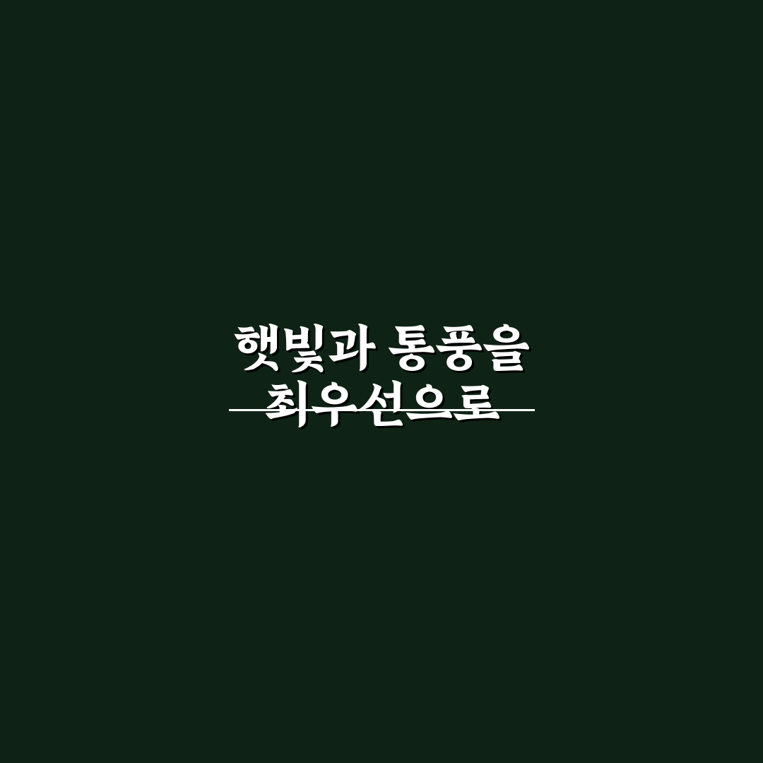 레몬버베나 키우기 5가지 기준과 관리 체크포인트 총정리