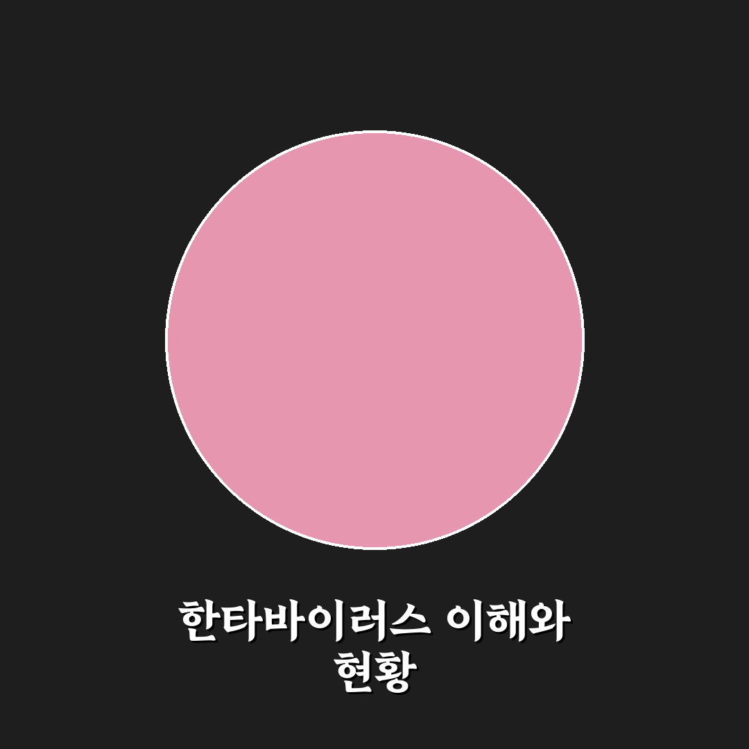 한타바이러스 한국 감염 현황과 예방 기준 총정리
