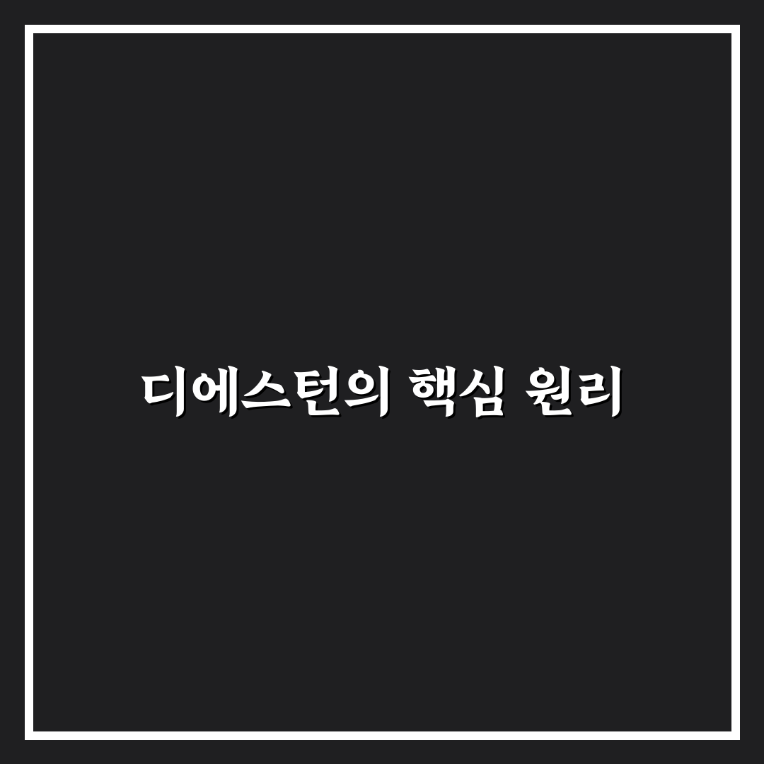디에스턴 비교와 5가지 체크포인트 총정리