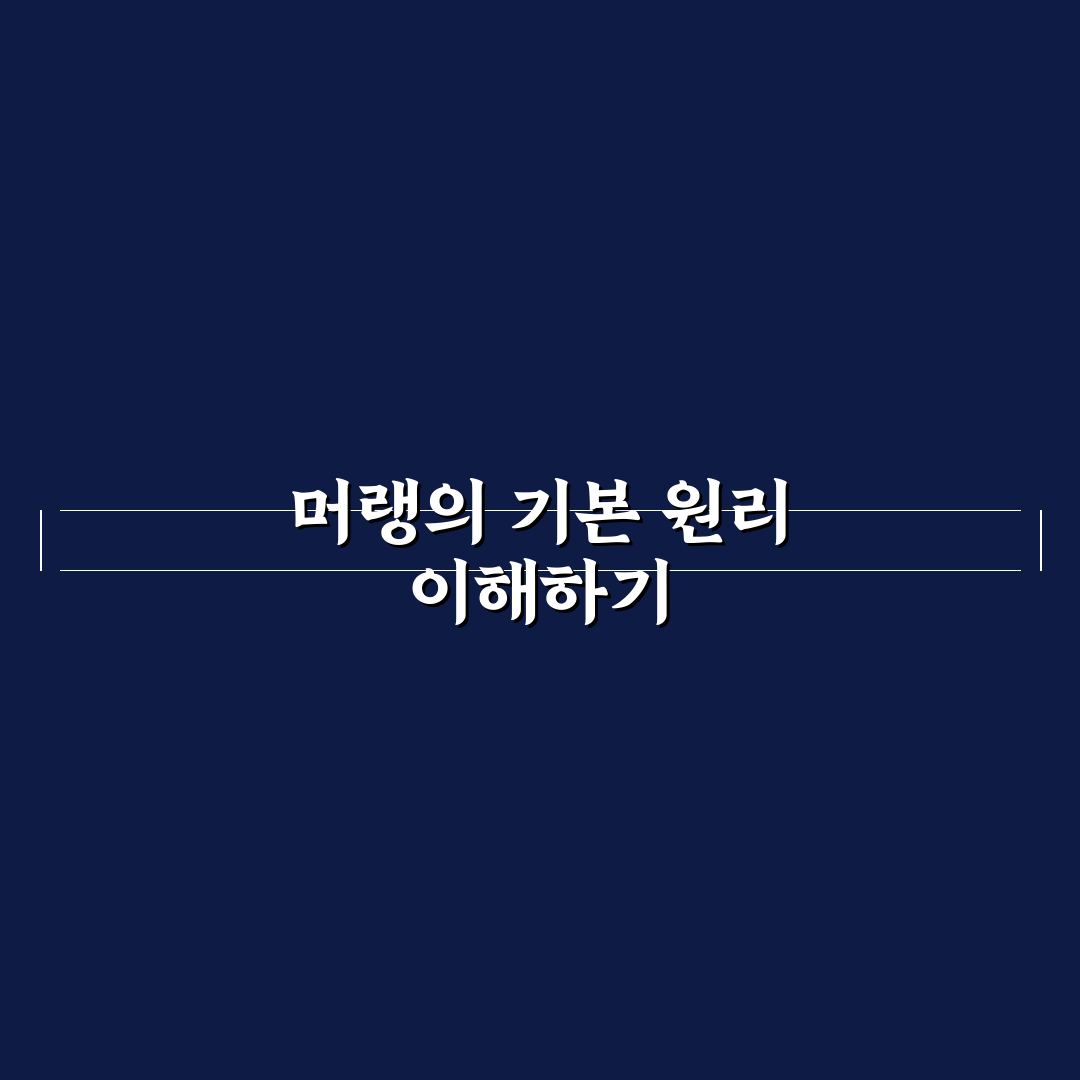 머랭그의 종류별 질감과 활용법 비교 분석 가이드