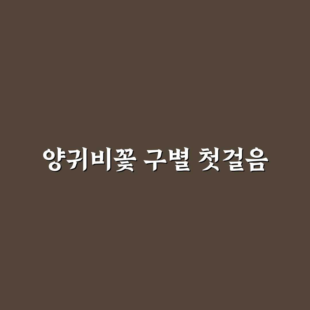 양귀비꽃 종류별 구분 기준과 주요 체크포인트 분석