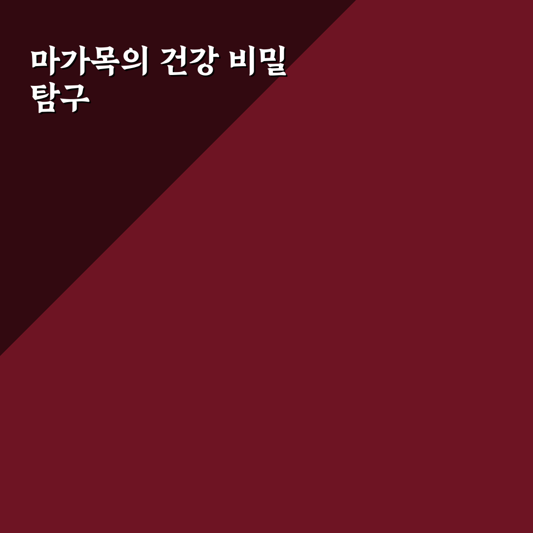 마가목 효능 효과 5가지 기준별 분석과 가이드