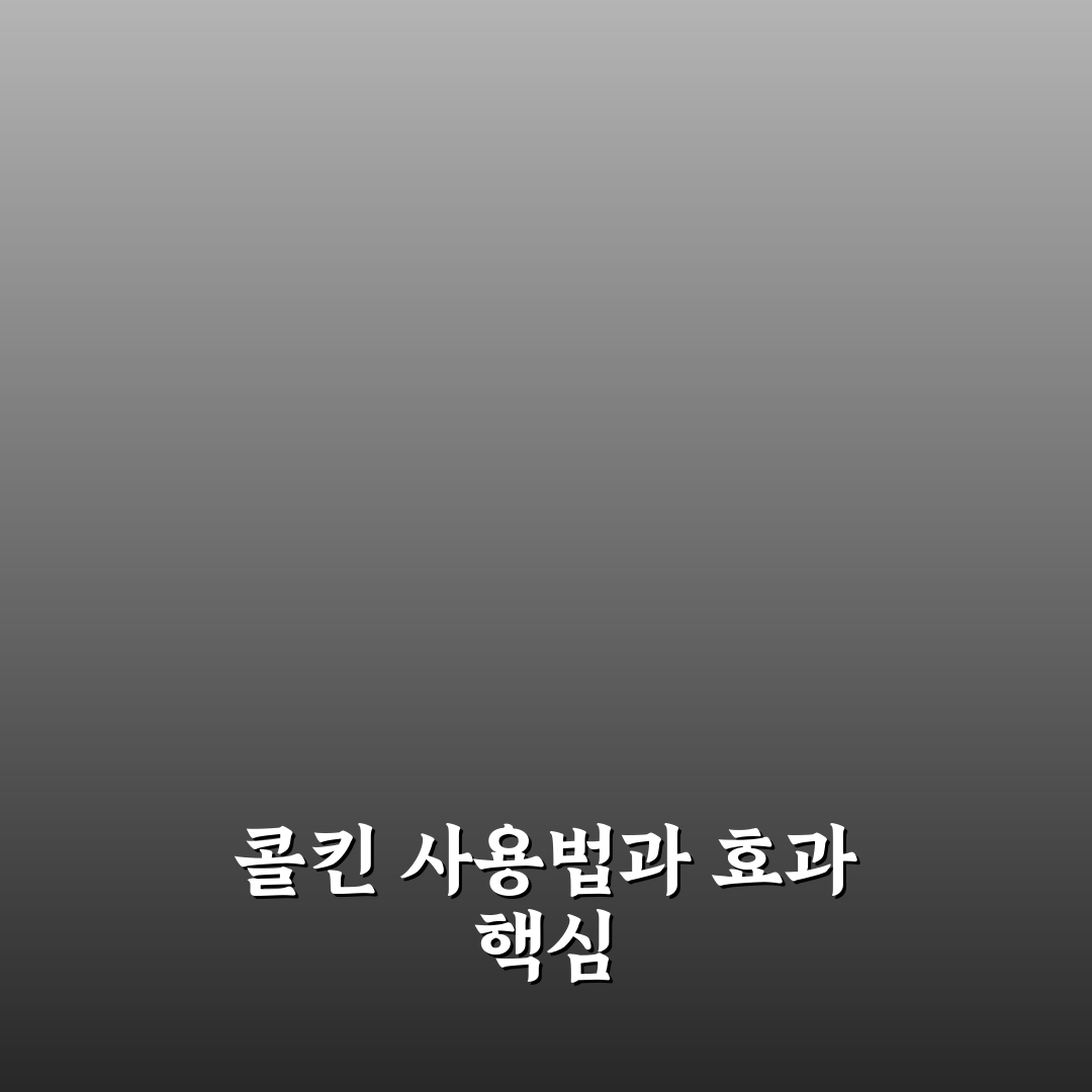 통풍 콜킨 사용법과 효과 비교 가이드 5가지 기준