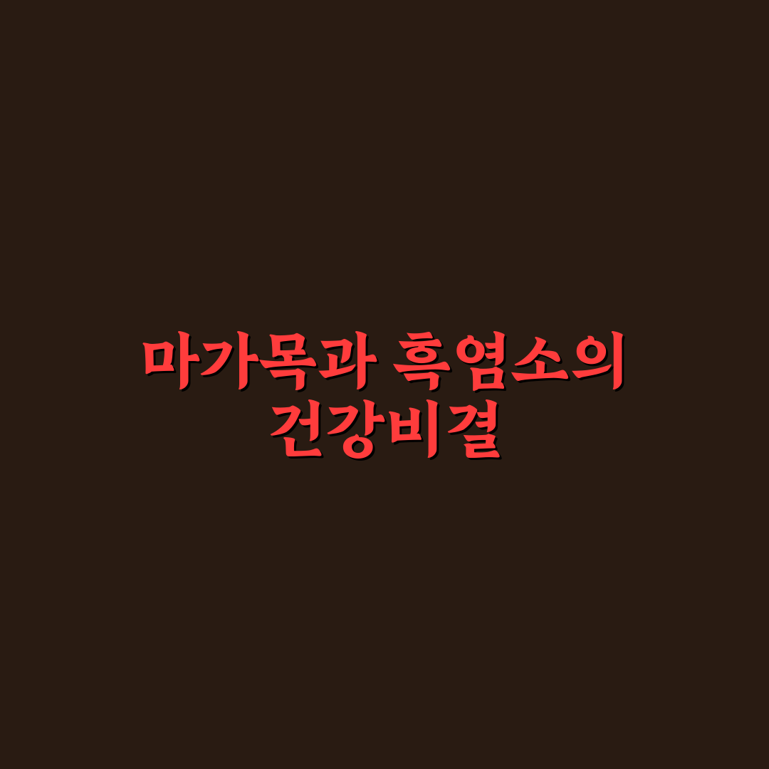 마가목 흑염소진액 효능과 부작용 기준 5가지 분석