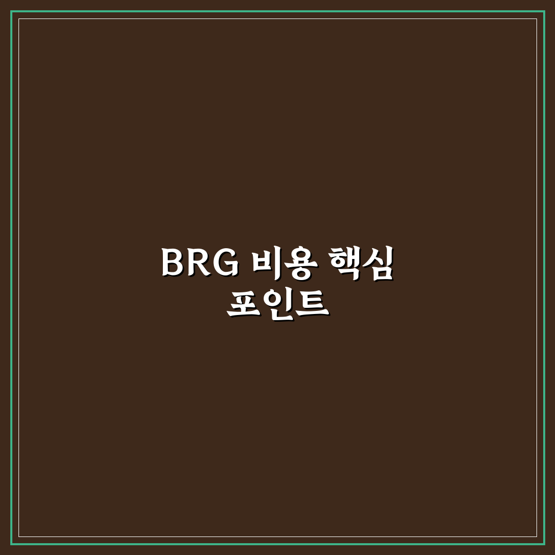 brg 그레이딩 비용 비교와 체크포인트 총정리