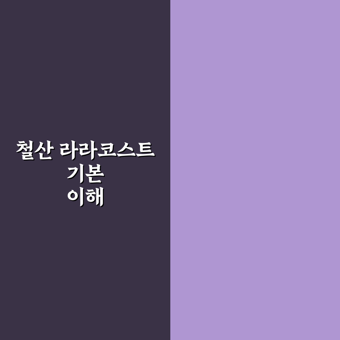 철산 라라코스트 서비스 품질과 가격 비교 분석 가이드