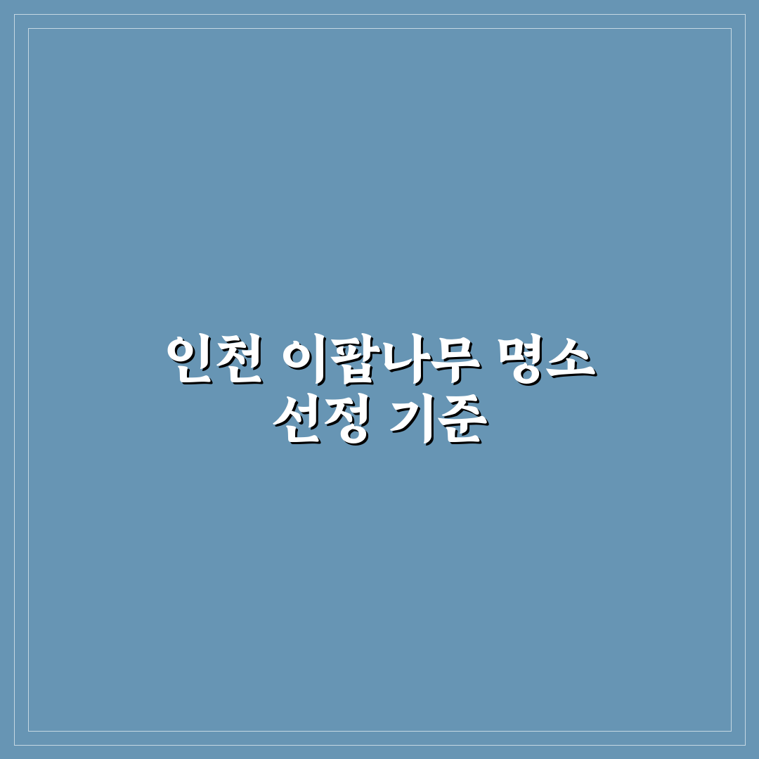 인천 이팝나무 명소 5가지 기준별 비교와 분석